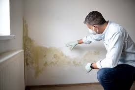 Edgewood, OH Mold Inspection Company